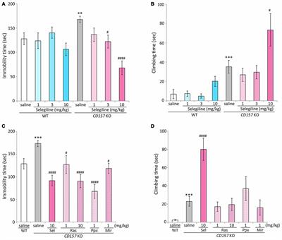 Selegiline Ameliorates Depression-Like Behavior in Mice Lacking the CD157/BST1 Gene, a Risk Factor for Parkinson’s Disease